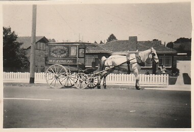 Photograph - M F Conlon bakery delivery cart, 1953, Victor Cattoni, 1953