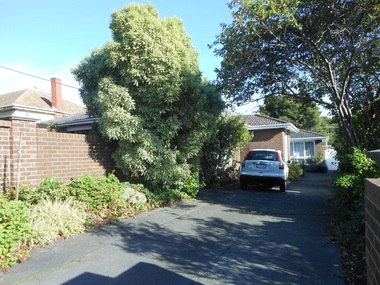Photograph - 12 Wharton Street, Surrey Hills, On The Street Where You Live Project