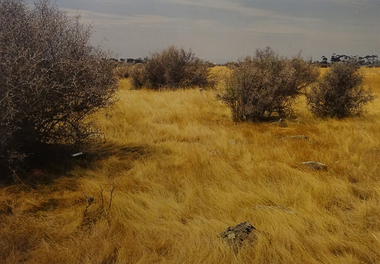 Photograph, West of Fairbairn Road, 1989