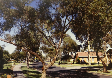 Photograph, Robert Pointon, Buckingham Crescent, South Sunshine, 1994