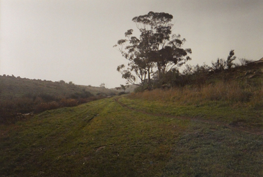 Photograph, Robert Pointon, East bank of the Kororoit Creed looking North, Deer Park, 1988