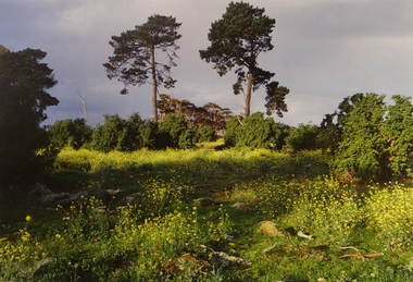 Photograph, Robert Pointon, Twin Pines, 1988