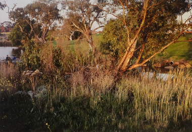 Photograph, Kororoit Creek, Opposite Deer Park Hotel, 1994