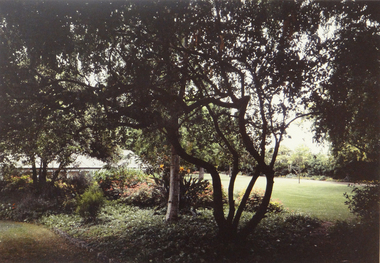 Photograph, Robert Pointon, McKay Gardens, 1993