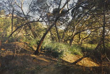 Photograph, Robert Pointon, John's Knife, 1988