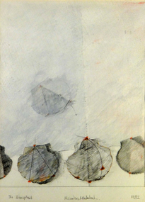 Drawing, The Transplant