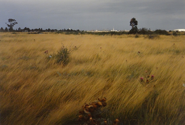 Photograph, Robert Pointon, Looking west towards the Huntsman chemical complex & City West Sunshine, 1989