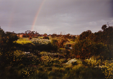 Photograph, Robert Pointon, Kororoit Creek looking North east, 1993