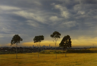 Photograph, Robert Pointon, In the Thompson Reserve, 1989
