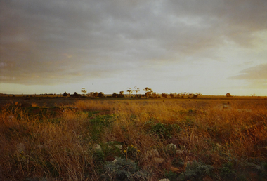 Photograph, Robert Pointon, Untitled, circa 1994