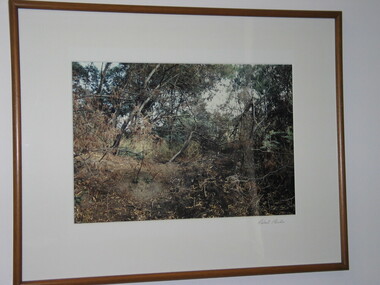 Photograph, Robert Pointon, West Bank of Maribyrnong River, North Sunshine, 1987