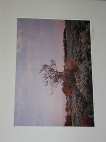Photograph, Robert Pointon, East of Fairbaine Road, 1988
