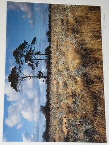 Photograph, Robert Pointon, South Sunshine looking North, 1989