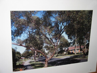 Colour Photograph, Buckingham Crescent, Sunshine, 1994