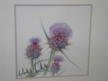 Painting (Watercolour), Helene Wild, Artichoke Thistle, 1994