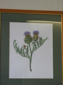 Painting (Watercolour), Anita Podwyszynski, Thistle, circa 1985-87