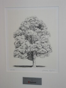 Print - Etching, Tree, 2001