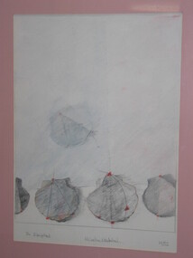 Drawing - Pencil Sketch, The Transplant, 1982
