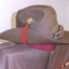Soldiers jacket and hat with buttons and badges