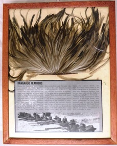 Framed object with feathers and newspaper cutting