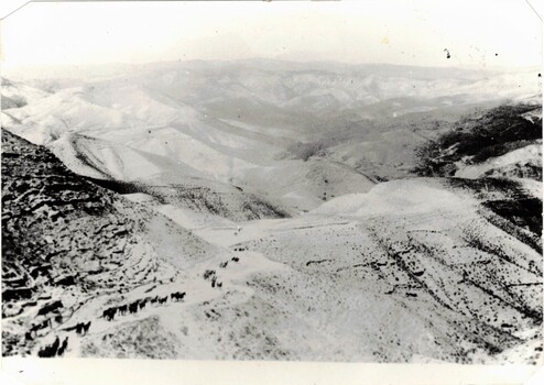 Aerial photograph of horses in desert.