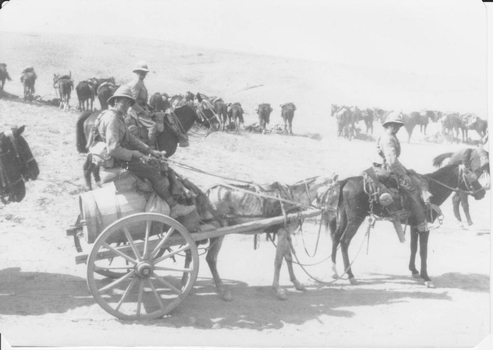Soldiers with donkey pulling water cart