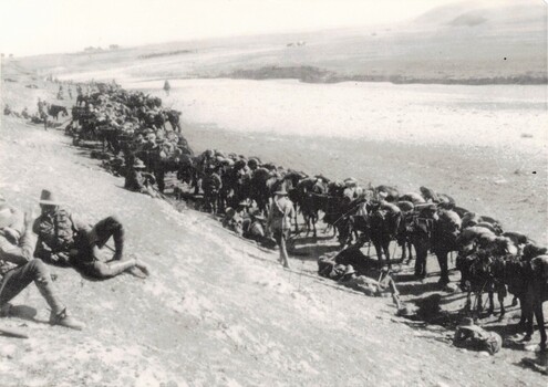Two soldiers relaxing alongside a long line of horses.
