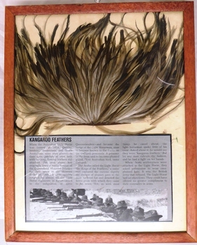 emu feathers in frame with newspaper clipping.