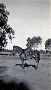 Soldier on horse standing in paddock