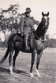 Soldier mounted on horse.
