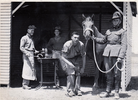 Soldier farriers shoeing a horse.