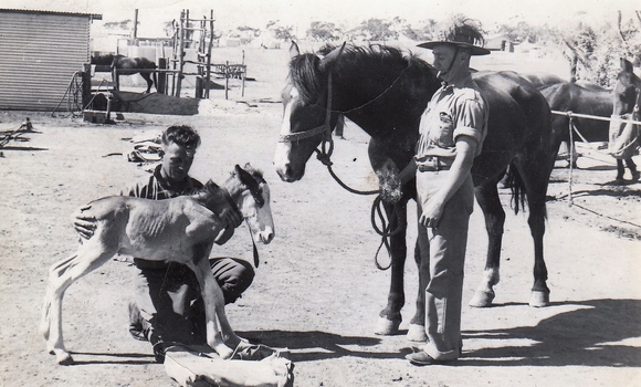 Soldiers with horse and foal