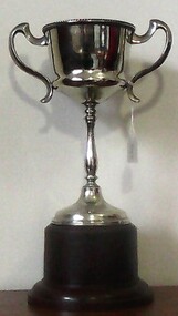 Trophy, McClure Cup