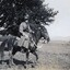 Soldier on horseback riding in paddock