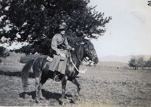 Soldier on horseback riding in paddock