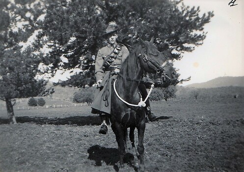 Soldier on horseback in paddock