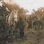 Soldiers and ladies with horses