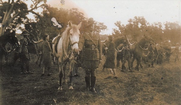 Soldiers and ladies with horses