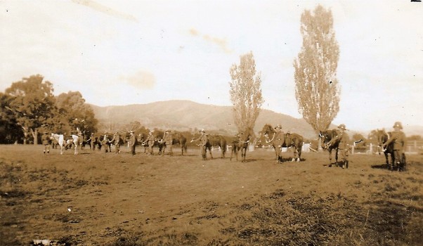 Soldiers and horse in field with trees