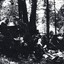 Soldiers resting under trees near car