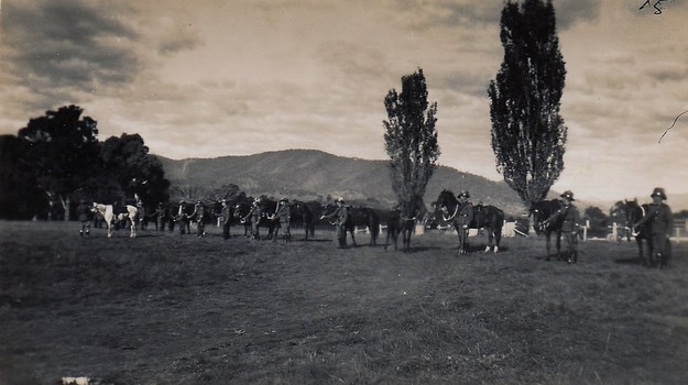 Soldiers with horses on arena