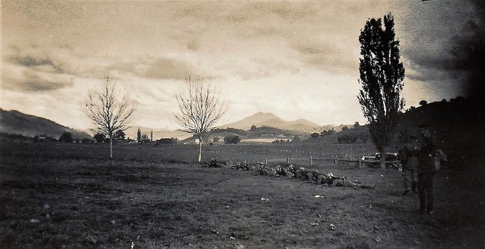 Line of soldiers lying down on edge of field