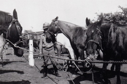 Soldier with horses tied to rope.