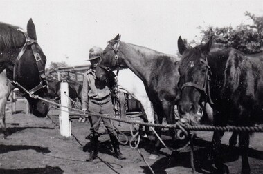 Soldier with horses tied to rope.
