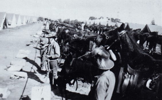 Tents, soldiers and many horses.