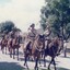 Soldiers on horses in street