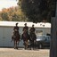 Three soldiers on horseback followed by a car near sheds.