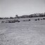 Tank and carriers in a paddock
