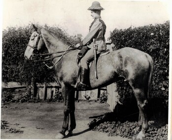 Soldier with sword bayonet on horse.