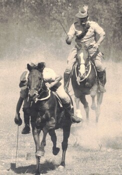 Born digital image of tent-pegging